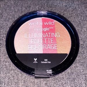Wet n Wild Megaglo Illuminating Palette in Catwalk Pink